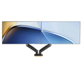 Desktop Monitor Arm Mounts for 2 Monitors